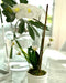 Artificial Orchid Flowers 35cm Home Garden Decor Plant Zn 2
