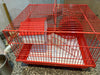 Hamsteras Importada De Dos Pisos 5