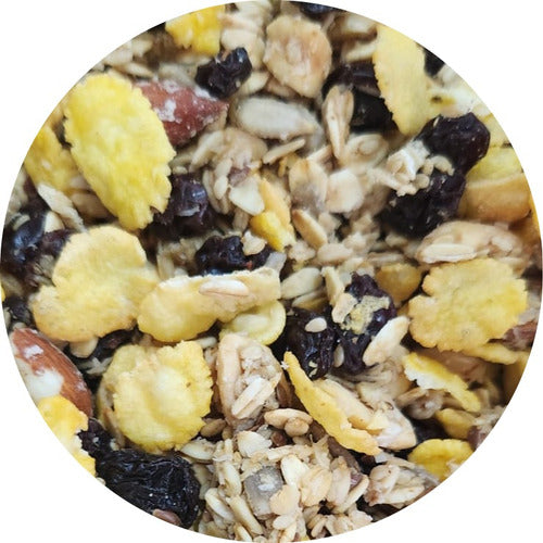 Positiva Granola Energética X 1/4 Kg | Primera Calidad | 0