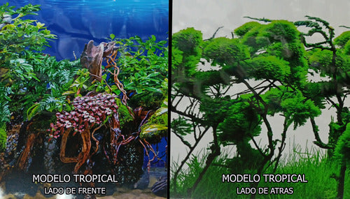 Double-Sided Fish Tank Background 150x40 cm Aquarium 3