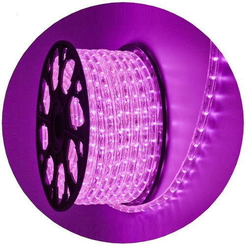 Outdoor Christmas Pink LED Strip Light 10 Meters 0