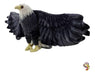 Imported Realistic Plush Eagle !! 1