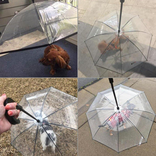 Guarda-chuva De Cachorro Para Cães Pequenos Guarda-chuva De 6