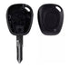 Carcasa Llave Renault Megane Scenic 2