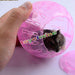 Playtoy Plastic Exercise Rodents Mice Running Hamster G 3