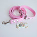 Combo Correa + Collar + Chapita Personalizada Perro Talle S 3