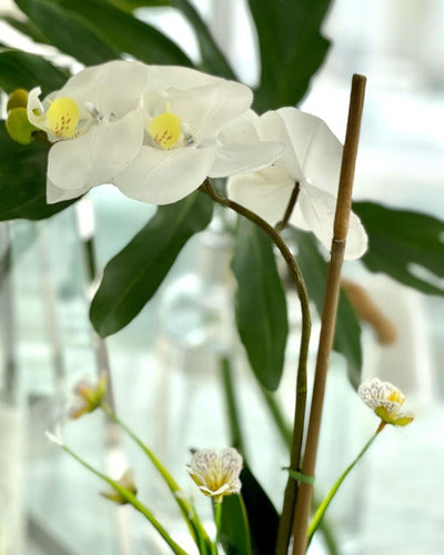 Artificial Orchid Flowers 35cm Home Garden Decor Plant Zn 1