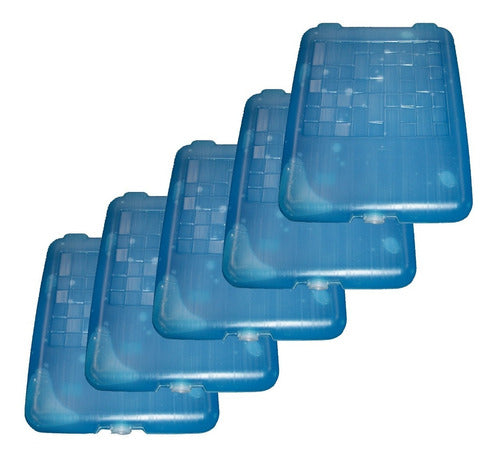 Gel Refrigerante Placa 1 Kg X 5 Geles 0