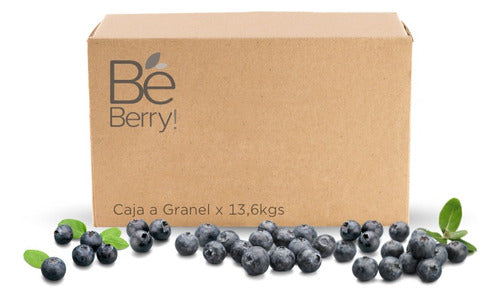 Be Berry! Organic Frozen Blueberries IQF Bulk Box x 13.6kg 0