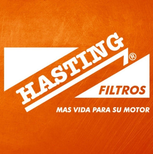 Pack X 2 Filtros Aceite Hasting H2197 Equiv. W1126/10 B7131 2