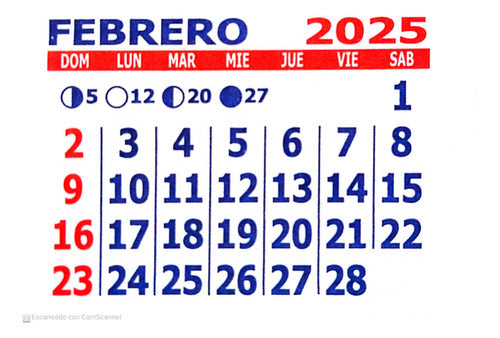 200 Mignon Calendars 5x5 cm 2025 - Devoto 7