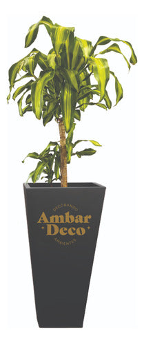 Ambar Deco Palo De Agua + Fibrocemento Deco Pyramid Pot 0