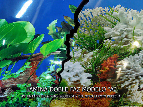 Double-Sided Fish Tank Background 150x40 cm Aquarium 1