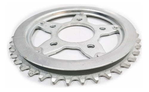 REINF Honda XR 200 Brazil NX 200 42T Sprocket by Solo Moto Team 2