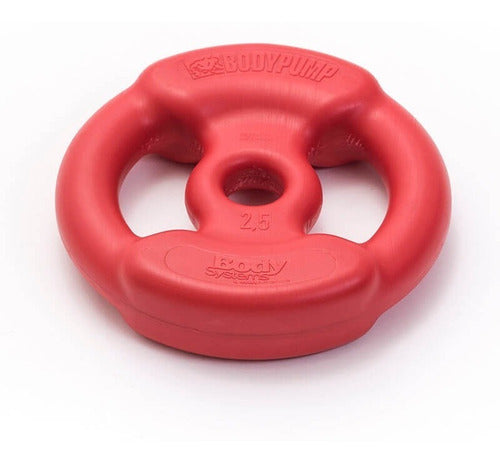 Mir Plastic Disc with Grip 2.5 Kg 0