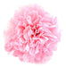 Generic Tissue Paper Pom-Pom - 40 cm - 26 Available Colors 1