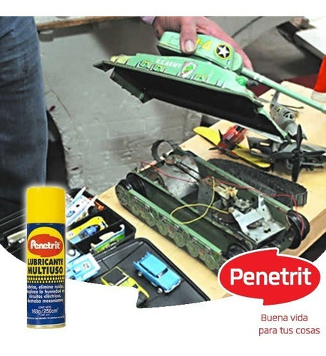 Penetrit Multi-Purpose Lubricant 163g/250cm3 (12 Un) 1