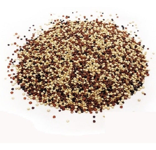 Mix De Quinoa Em Grãos Orgânico 10kg - Preço P/ Revenda + Fg 1