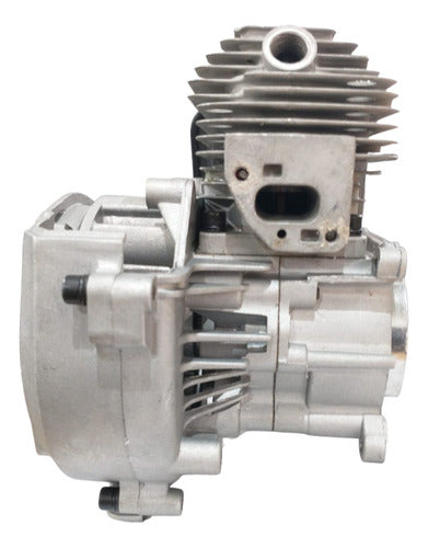 Motor Block Desmalezadora 36cc Gamma Original 1