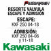 Kawasaki 2 Valve Spring Set for KXF 250 1