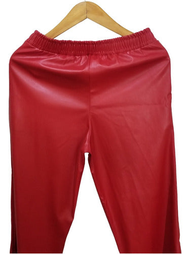 STRIVEN Red Faux Leather Straight Pants Size 4 6