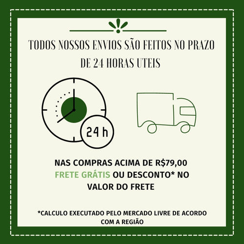 120 Vasos Pote 11 Mudas Plantas Plástico Preto Flor Violeta 7