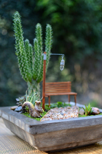 Mini Jardin Terrario/ Para Armar. 1