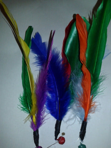 Repuesto De Plumas Cañitas Para Gatos Capitán Cañita Miyi 2