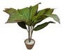 Loschi Artificial Plant Artificial Plants 2