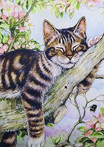 Naimoer DIY Cat Diamond Painting Kits for Adults, Round Full Drill Cat Diamond Painting Animals Diamond Art Kits Gem Painting Crafts for Home Wall Decor 12x16 Inch 0