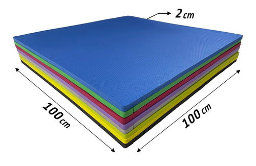 Kit 10 Tatame Tapete Eva 1x1 20mm 100x100x2cm 10m2 1