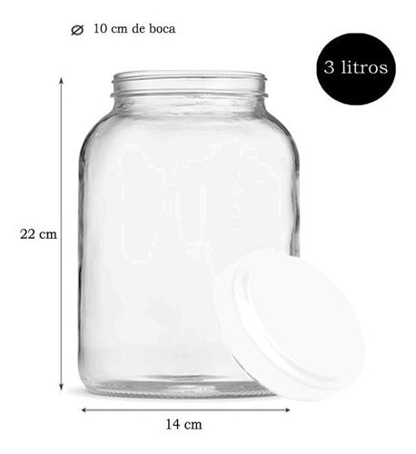 Rigolleau 12 Glass Jars Multi-Purpose Container 3000 cc with Lid 2