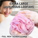 Larktune Luxurious Luffa Shower Sponge 2.47 Oz - Pack of 4 4