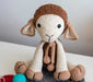 Handmade Sheep Amigurumi Crochet Toy - Cotton and Chenille Yarn! 5