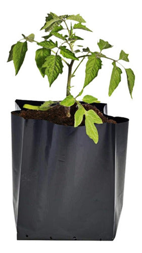 Polietileno Obelisco Nylon Plant Pots - 10 Liters - Agro Garden Nursery (Pack of 10) 0