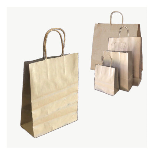 Bolsas Papel Madera Kraft 22x30x10 Con Manijas  Pack X 100 U 0