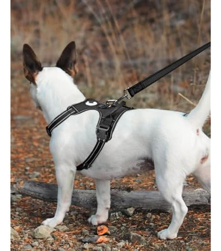 Joytale Reflective Dog Leash, 6 Feet 2