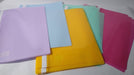 Chanyi Pastel Color Plastic A4 Folder with Nepaco - Pack of 25 Units 4