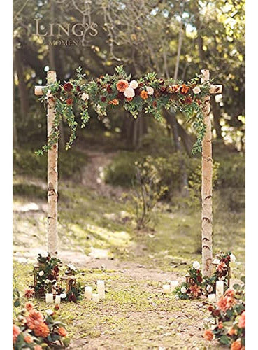 Enredaderas Para Wedding Arch Cerem Ony And Recepti 1