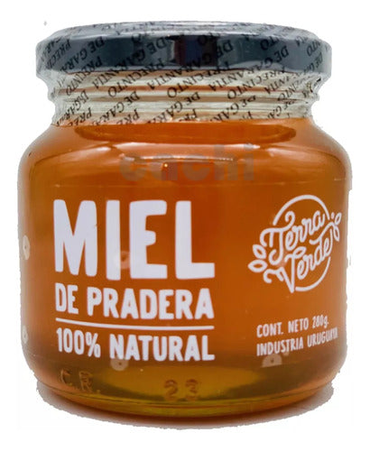 Miel De Pradera Terra Verde 280gr - Graviola 0