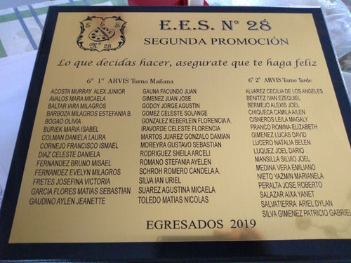 Placa: Premio/reconocimiento/profesion Similmetal 35x25cm 7