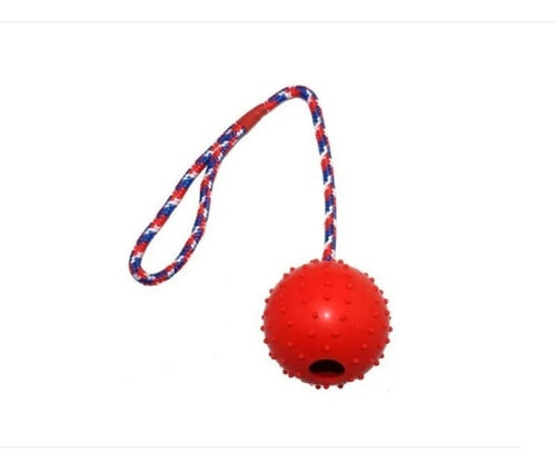 Beast Dog Toy Ball with Spikes and Rope - 30 cm 1