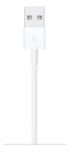 Apple USB Cable Compatible with iPhone 1