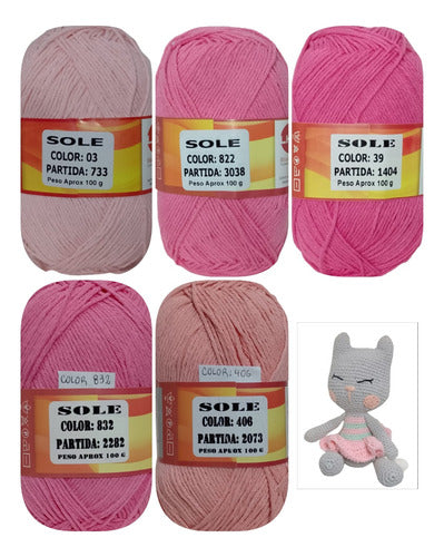 Sole Combo Yarn - 5 Selected Balls 1