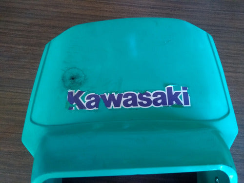 Kawasaki Klr250 Mascara Original 6