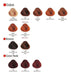 Alfaparf Evolution Hair Dye Kit + Developer 90ml, Choose Your Mix X3 6