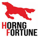 Horng Fortune Cubierta 2.50-16 Hf F879 2pr 1