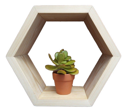 Artisanal Hexagonal Wooden Shelves - Brand New! 0