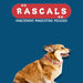 Rascals Medium Reflective Dog Leash and Collar Set 5