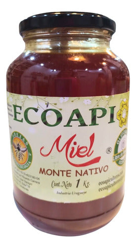 Miel Ecoapi 1kg Monte Nativo - Graviola 0